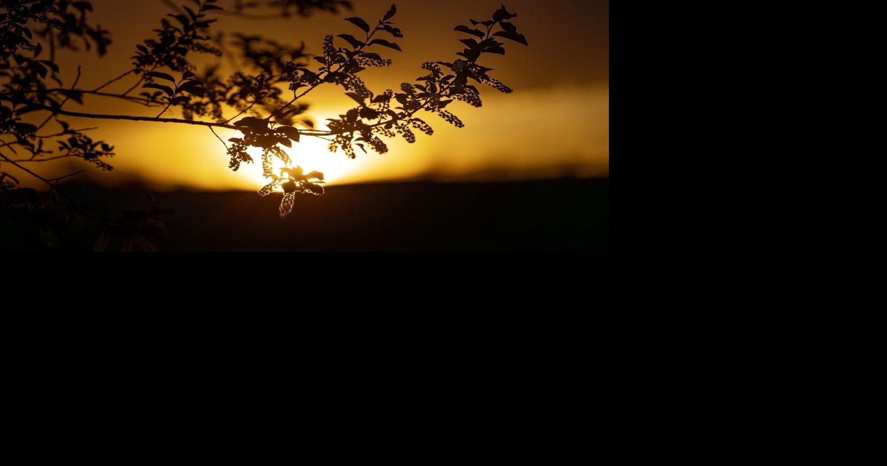 Billings expected to hit 90 degrees on Wednesday, could raise river levels PAUL HAMBY phamby@billingsgazette.com May 12, 2026 May 12, 2026 Updated 51 mins ago