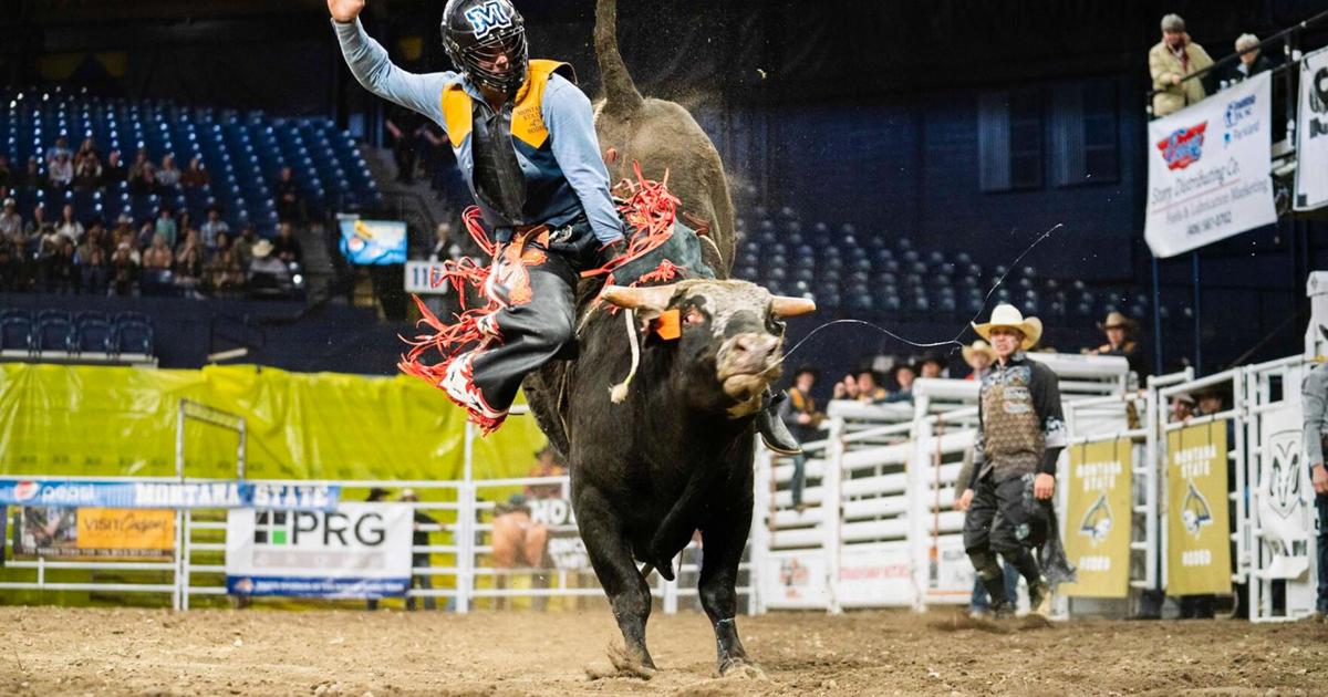 MSU rodeo team shines in front of home fans | Sports | msuexponent.com