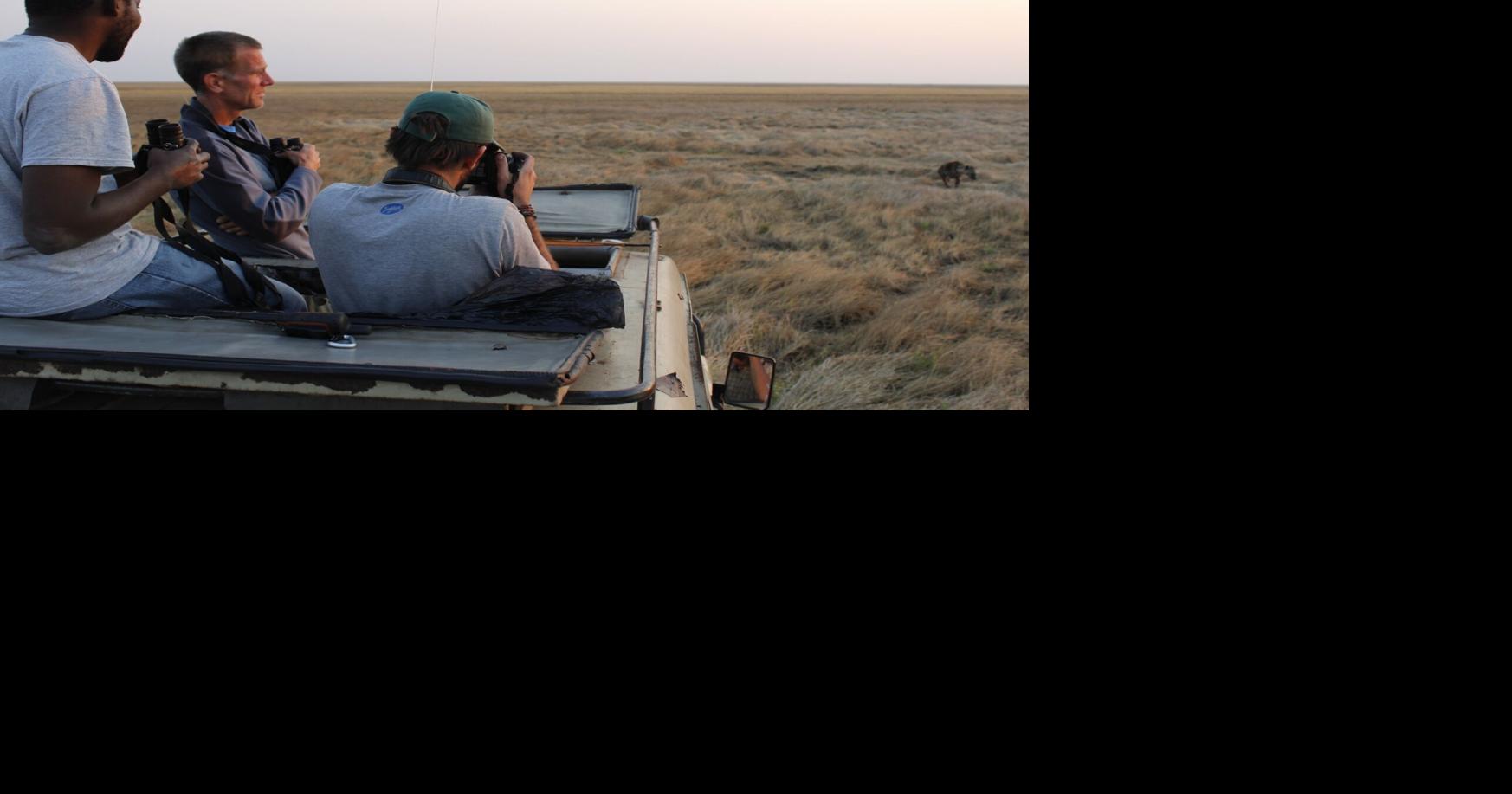 Long-term Montana State research brings rare African predator stories to life in BBC’s 'Kingdom'