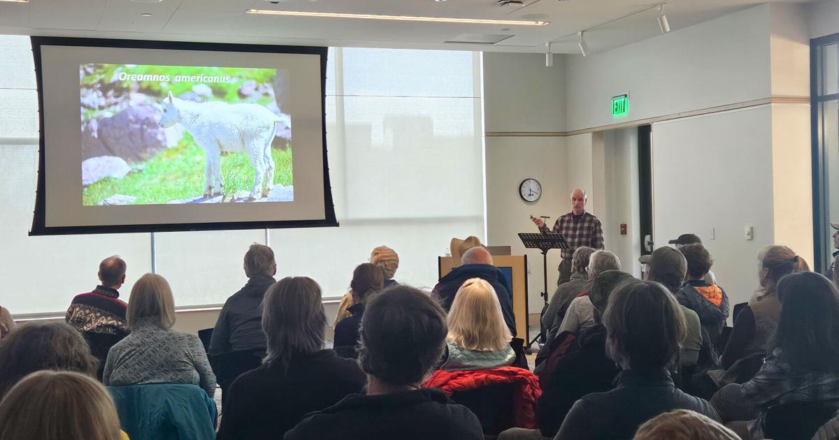 “Scaling New Heights” highlights mountain goat conservation