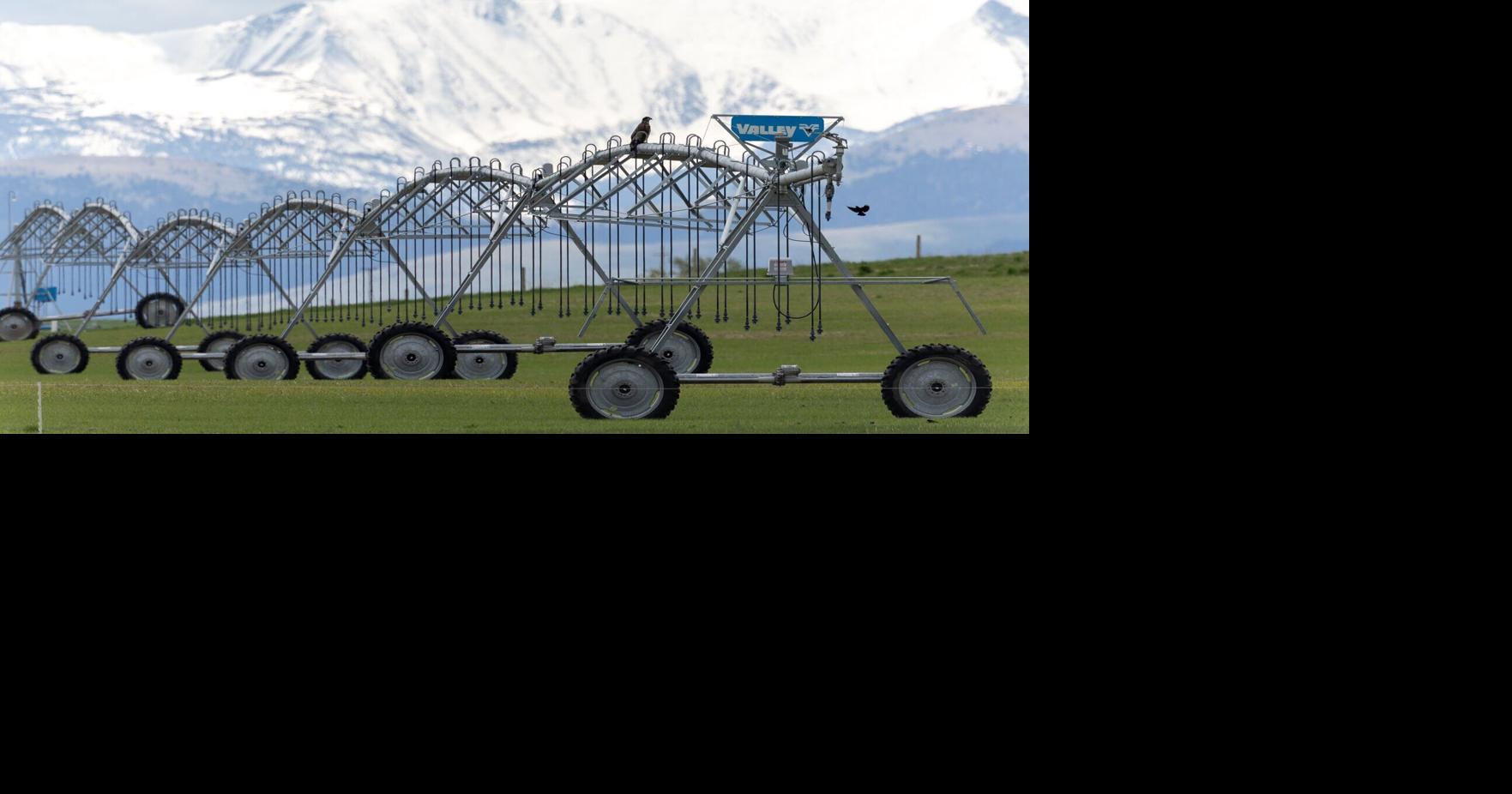 Deer Lodge: The beginnings of Montana's cattle industry