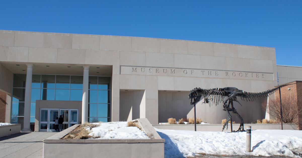 Traveling T. rex exhibit makes stop at Museum of the Rockies