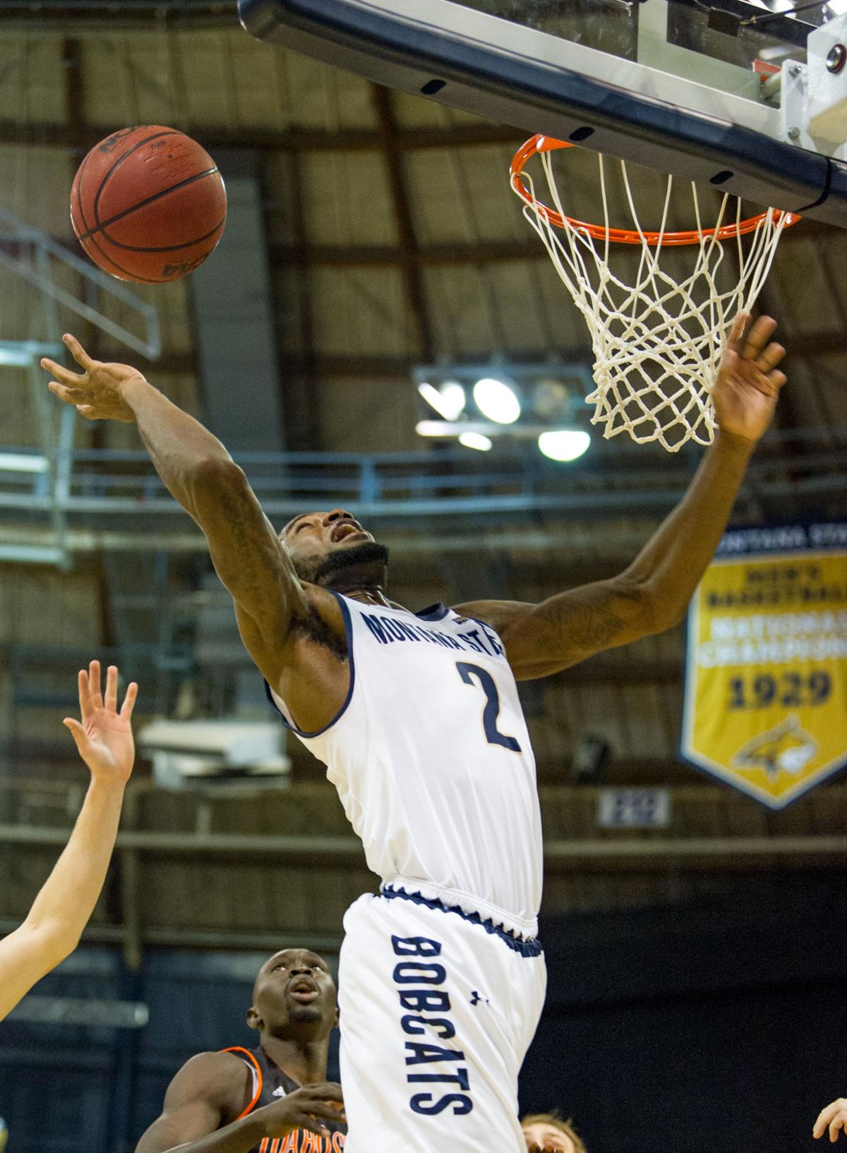 Bobcat Basketball Weekly Update Sports Msuexponent Com