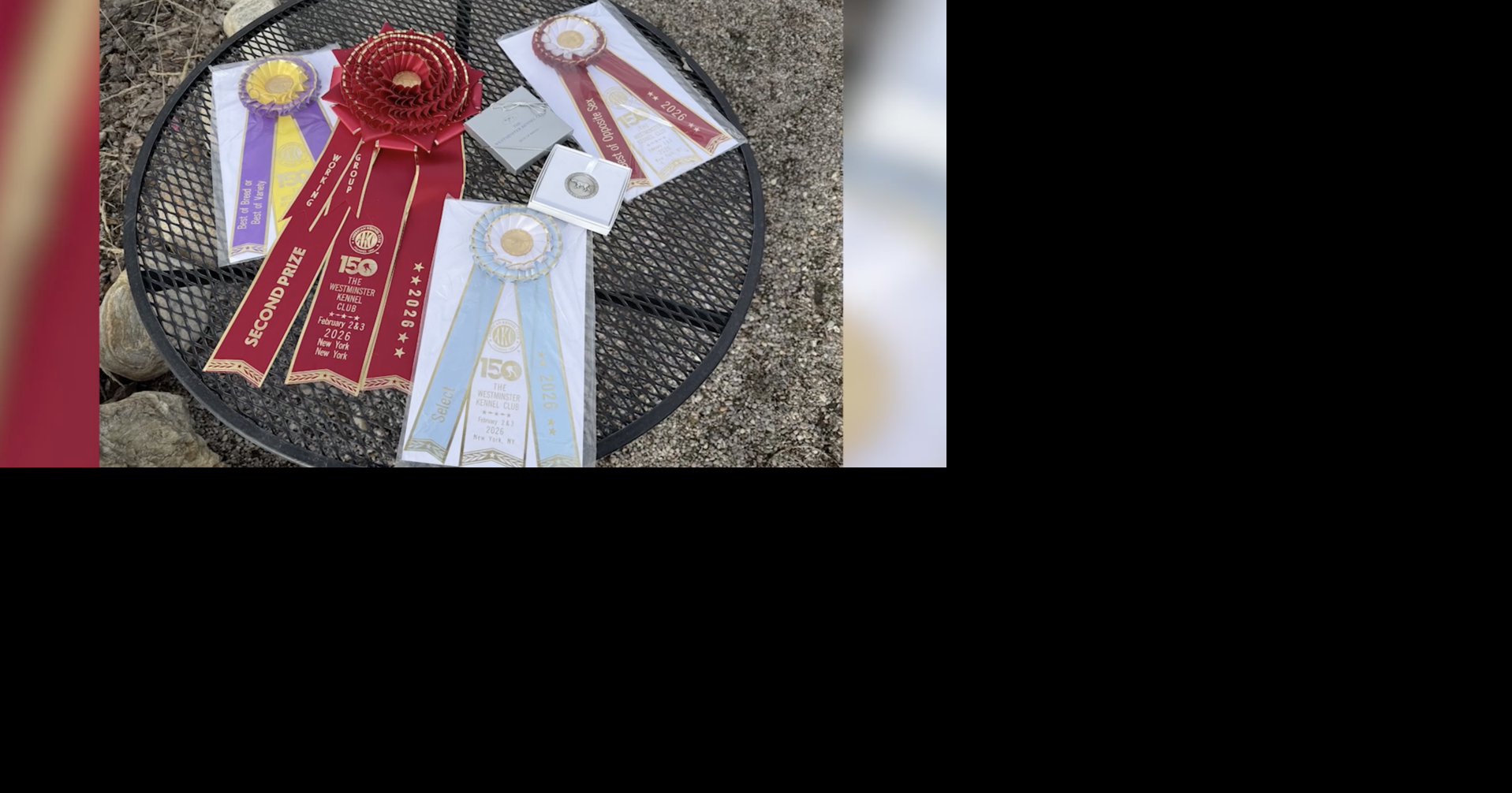 Western Montana dogs shine at Westminster Kennel Club Dog Show