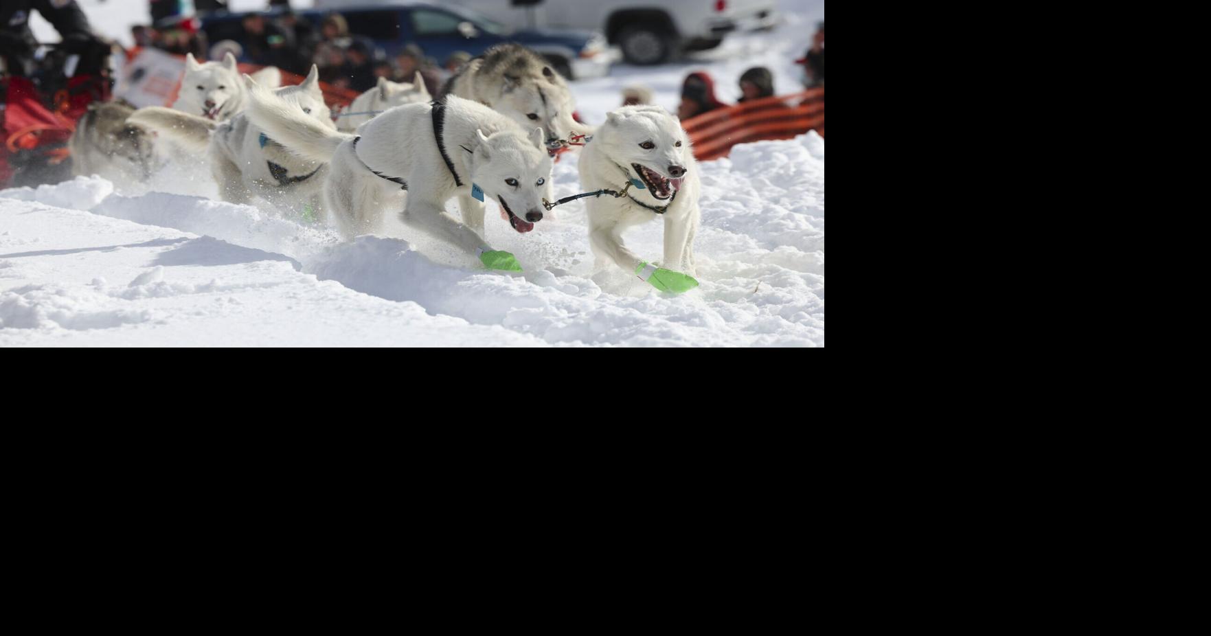 Race to the Sky sled dog competition canceled due to lack of snow