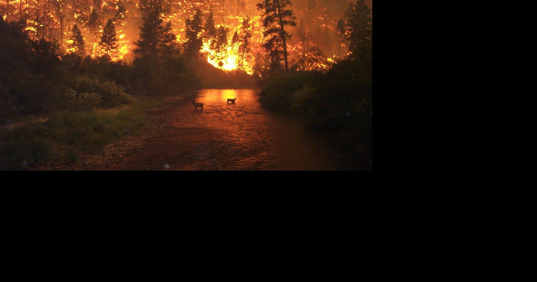 This year’s wildfire season in Montana has been chill so far. Why?