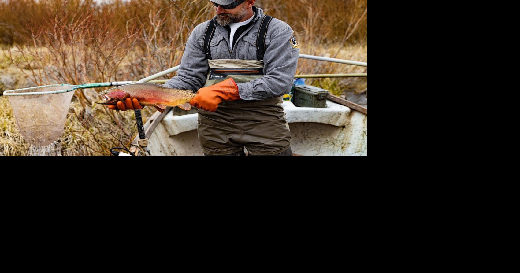 Court rejects Forest Service's creek poisoning plan in Absaroka-Beartooth Wilderness