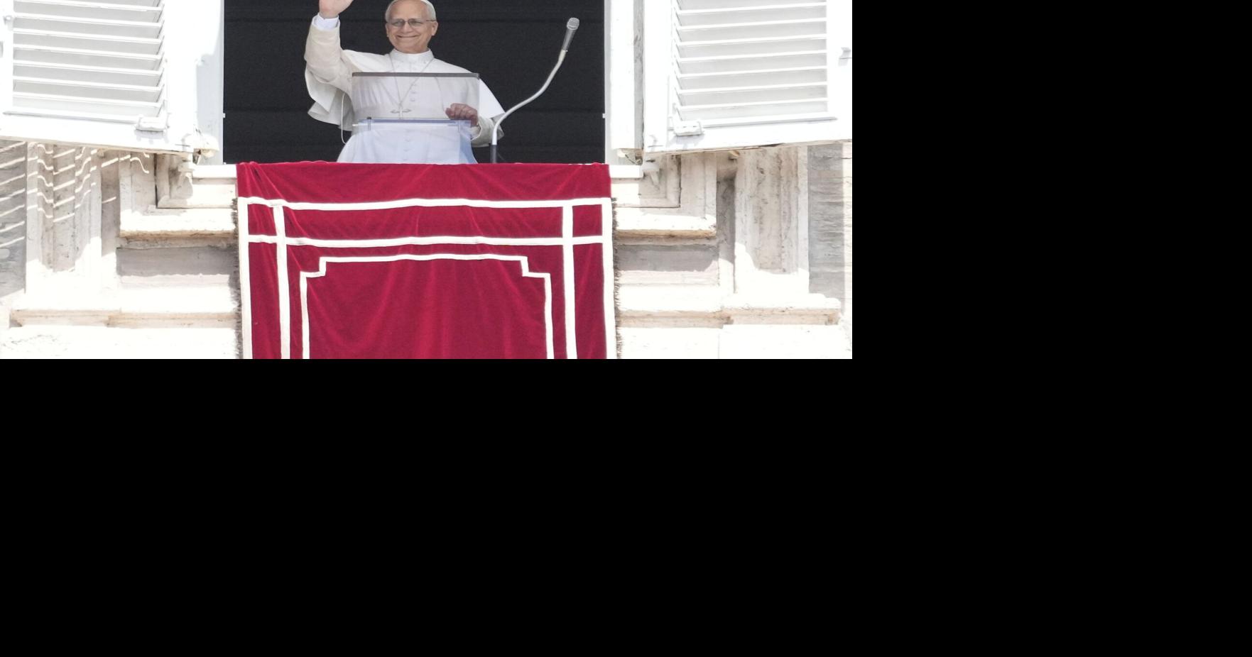 'What kind of lion is this Leo?': Carroll College panel discusses pope's first 100 days