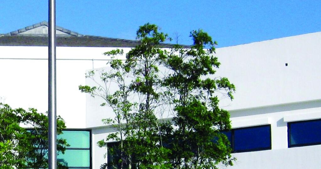 Judge rules contested Gualo Rai lot is family land Sep 3, 2026 40 mins ago