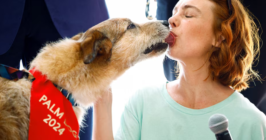 Kodi, star of 'Dog on Trial,' takes home Cannes' top dog prize | Lifestyle - Vimarsana News