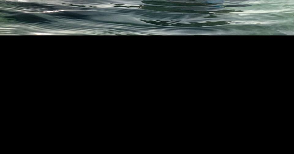 Free swim class for parents, babies and toddlers Lifestyle