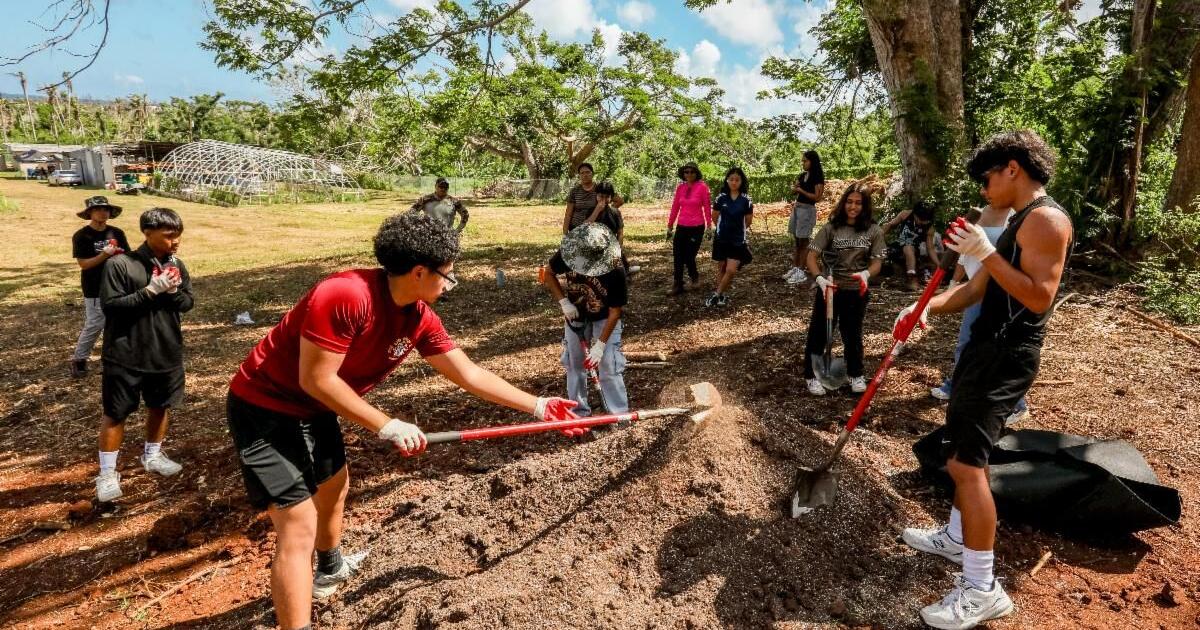 NMC summer internship gives 377 students paid experience in food, agriculture