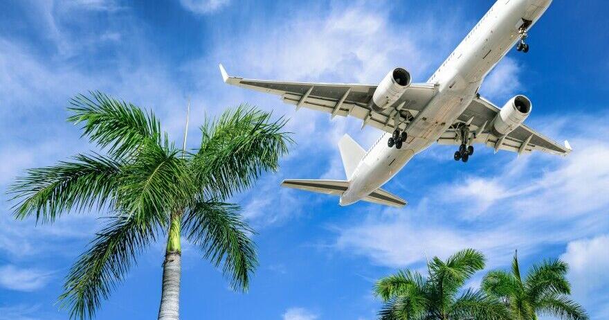 MVA: May arrivals down 36%