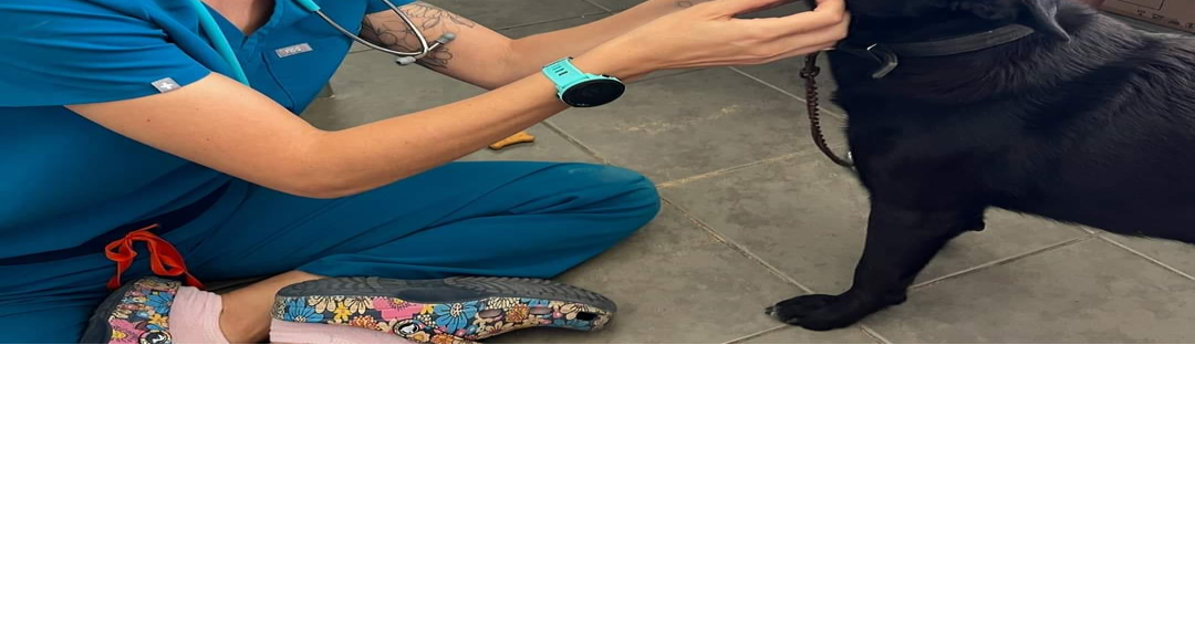 Saipan Humane Society founder to pursue veterinary degree at WSU