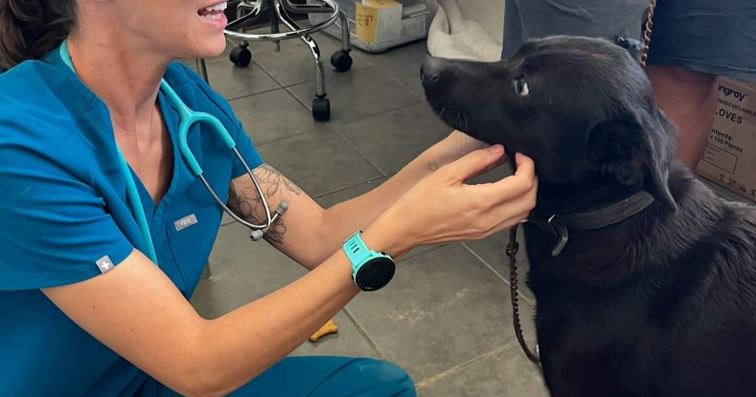 Saipan Humane Society founder to pursue veterinary degree at WSU