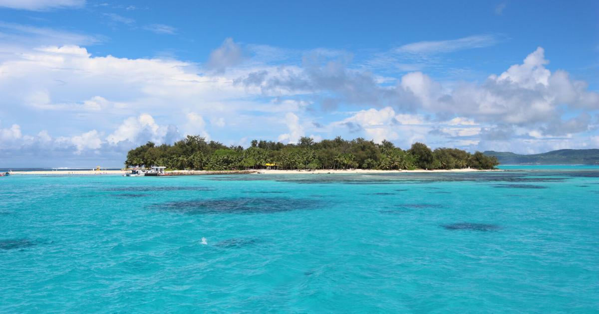 Expert says birds make Managaha ‘an unforgettable experience’ for tourists