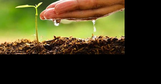 Saipan & Northern Islands Soil & Water Conservation District to meet on Aug. 19 - Vimarsana News