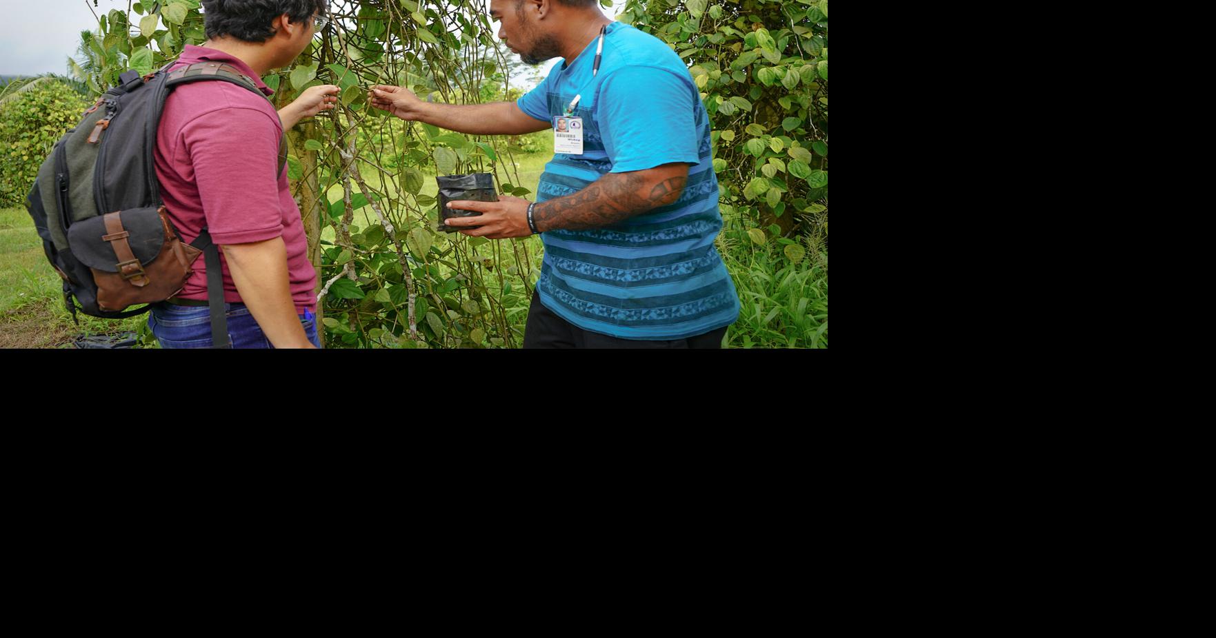UOG to hold Black Pepper Production Forum on June 21