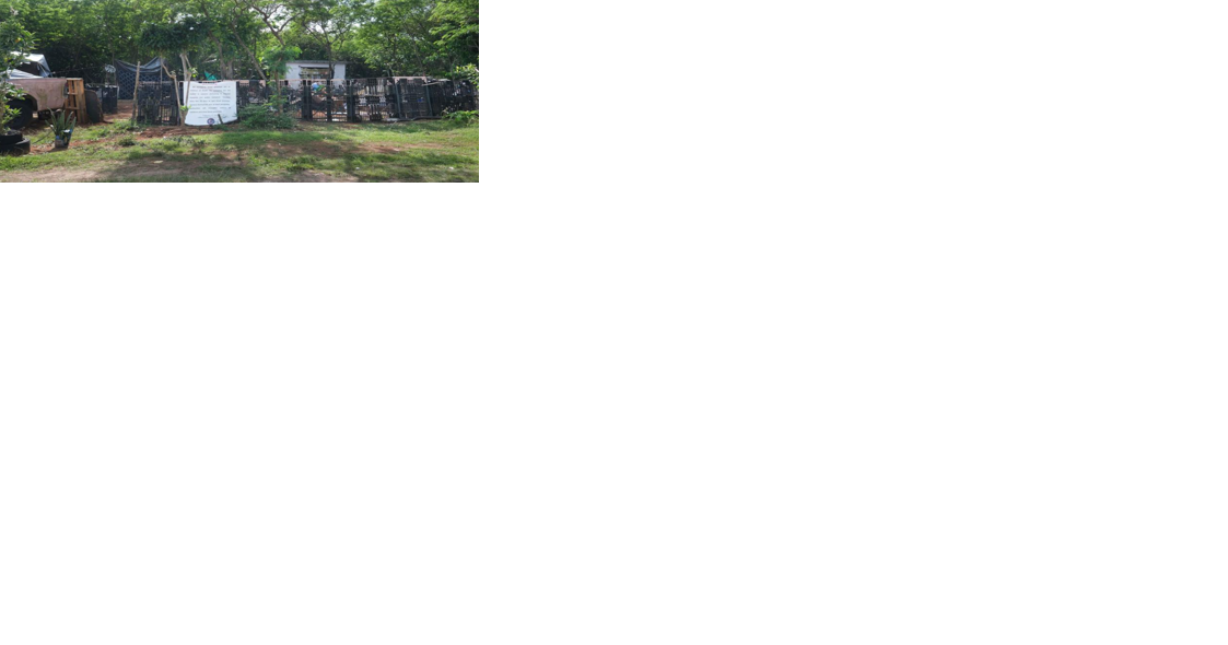 Guam: 5-day warning ends, removal from homeless camp pending - Vimarsana News