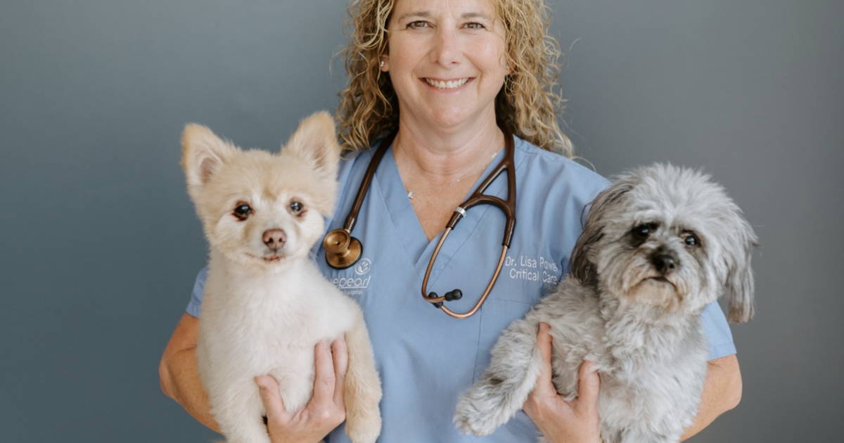 Saipan Humane Society announces upcoming veterinary visit