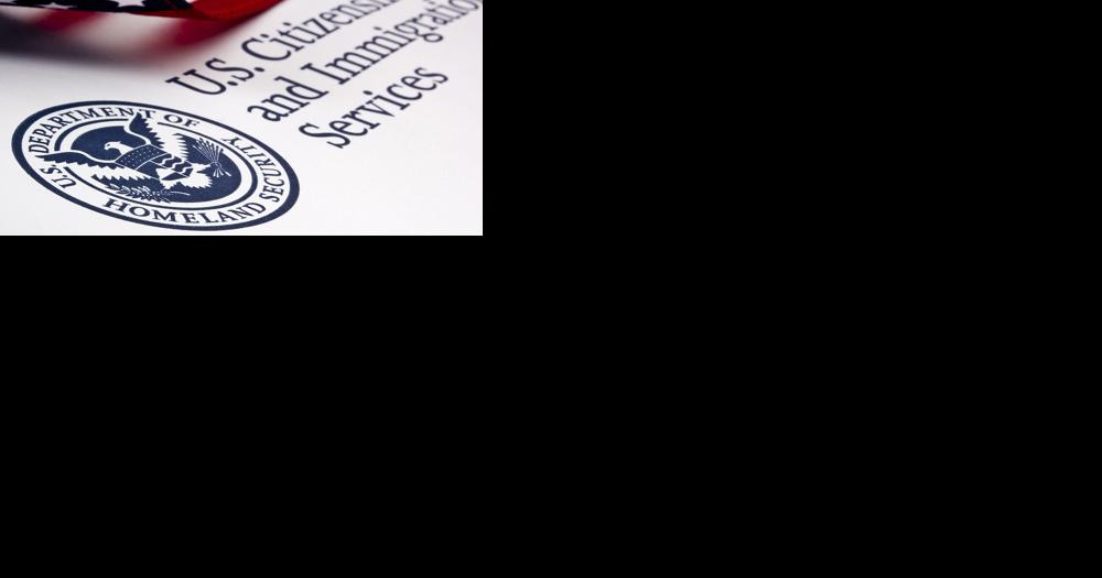 'USCIS does everything in their power to slow our businesses down' | News - Vimarsana News