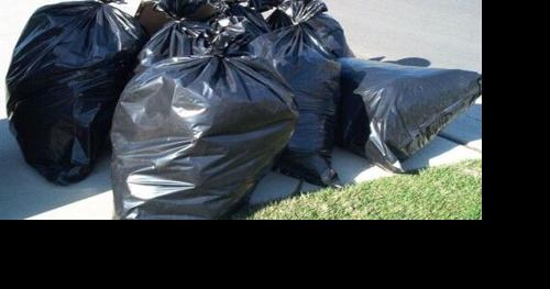 Precinct 2 Spring cleanup this Saturday - Vimarsana News