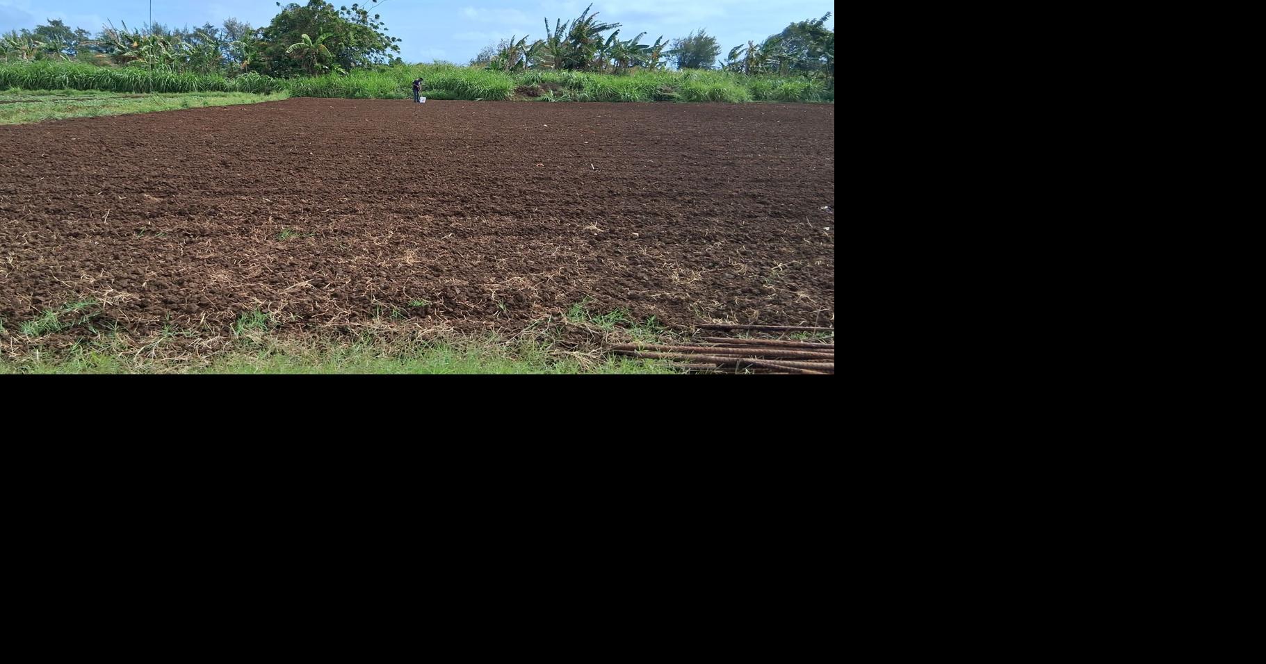 Soil health findings from Kagman farms to be revealed during seminar, NMC-CREES says