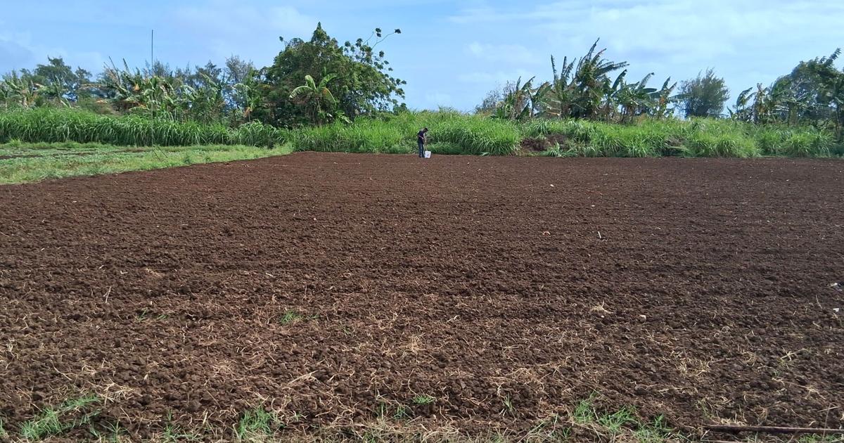 Soil health findings from Kagman farms to be revealed during seminar, NMC-CREES says