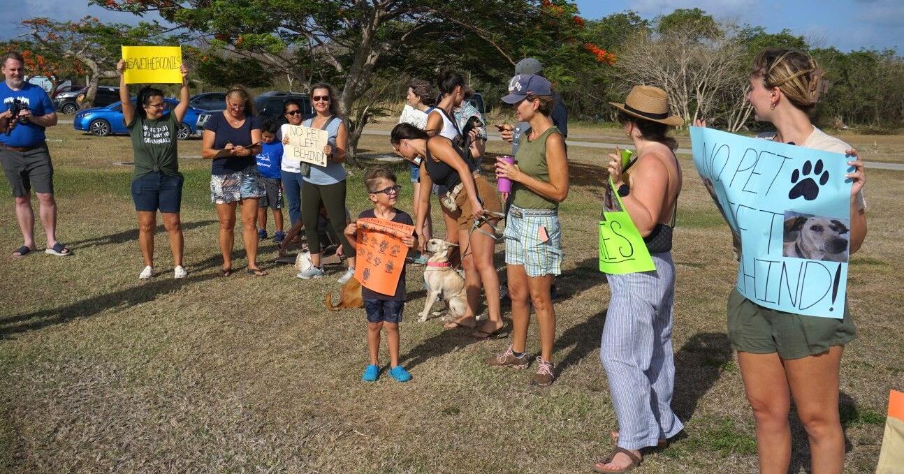 Animal welfare supporters protest United Airlines' lack of pet shipping service | Local News - Vimarsana News