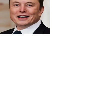 Musk’s DOGE terminates $1.9M consultancy contract for Palau