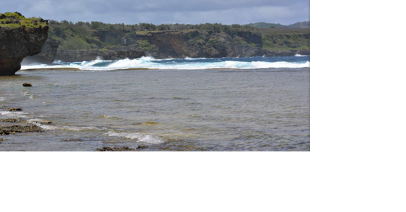 Search for missing swimmer continues - Vimarsana News