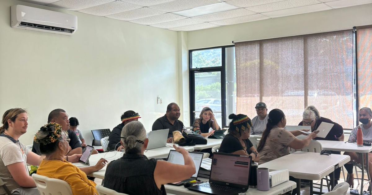 Arts Council conducts workshop for new online application system