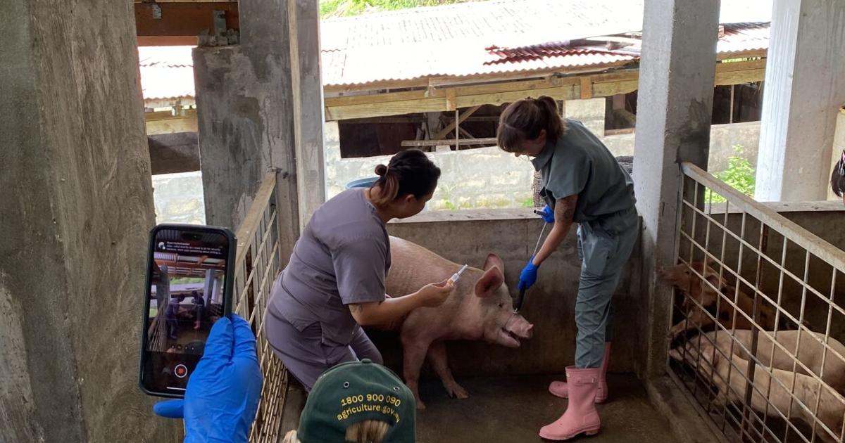 Hands-on livestock training held at Kumoi Farms