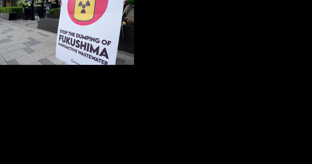 Japan's Fukushima wastewater plan is safe, says expert on Pacific islands panel | News - Vimarsana News