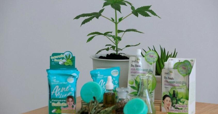 Thai businesses cash in on cannabis, from milk tea to toothpaste - Vimarsana News