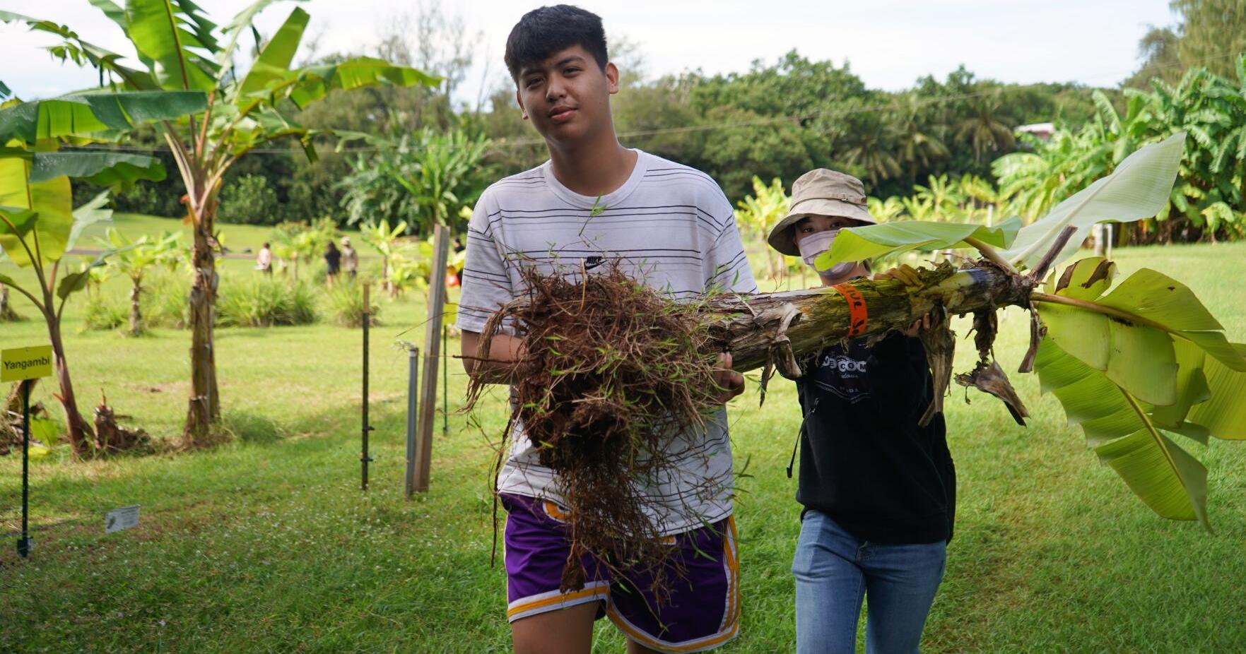 UOG wins $10M grant to advance agriculture and natural resources workforce in Micronesia - Vimarsana News