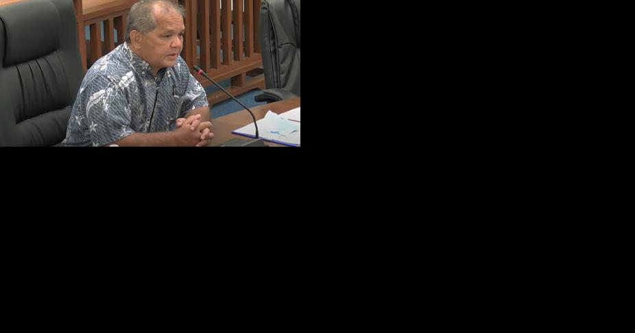 CUC official explains fuel charge to lawmakers - Vimarsana News