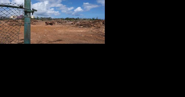 Developer: We didn't clear lot with burial sites, at-risk species - Vimarsana News