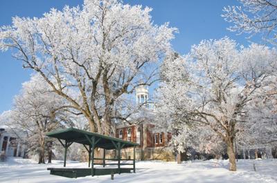 Winter splendor in Mount Carroll