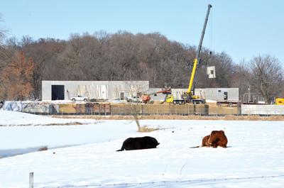 Changing landscape in Mount Carroll