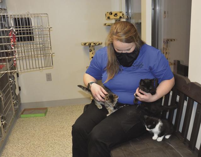 Liberty Animal Shelter now open limited hours | News 