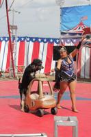 Circus act, rides & games bring fun to Kearney