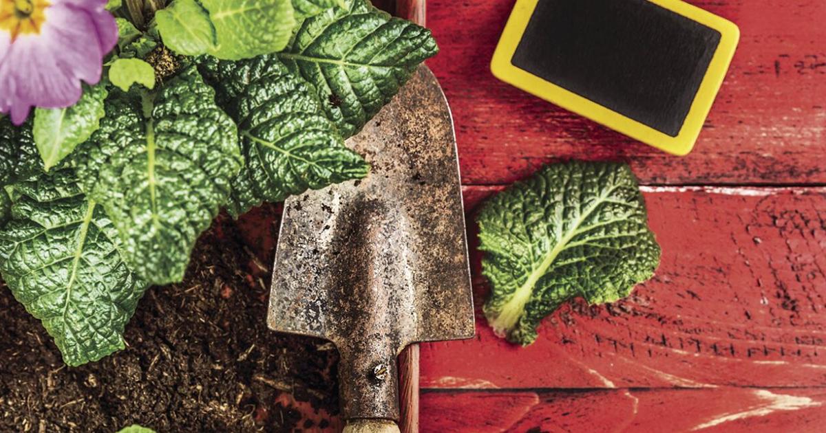 Tech to make gardening more fun | At Home