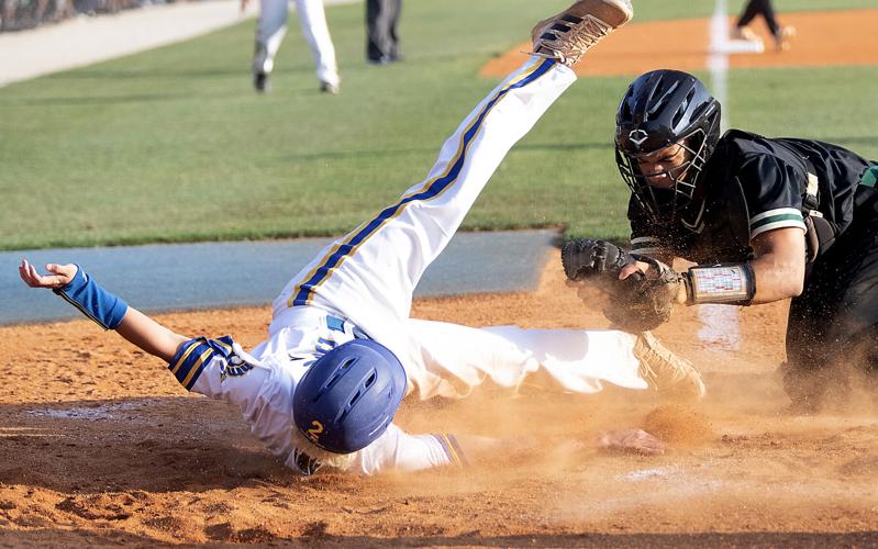 Baseball Splits With CSI in Myrtle Beach; 4-0, 8-6 - Adelphi University  Athletics