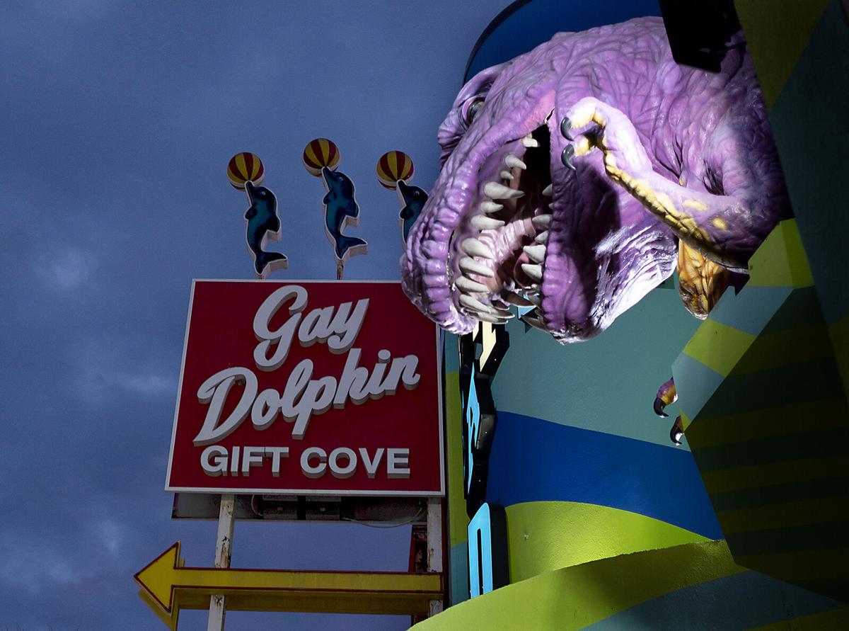 0622 Gay Dolphin_JM04.JPG
