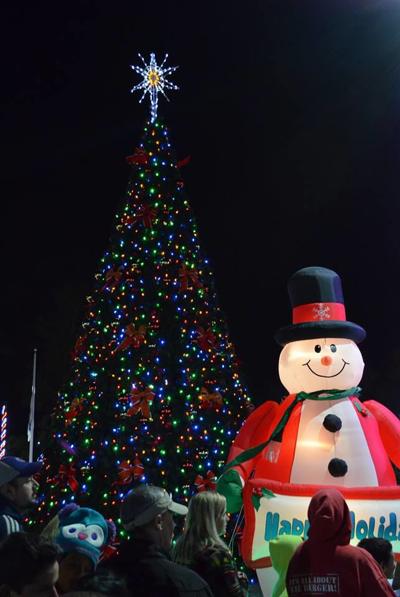 Grand Strand Sparkles With Tree Lightings Visit Myhorrynews Com