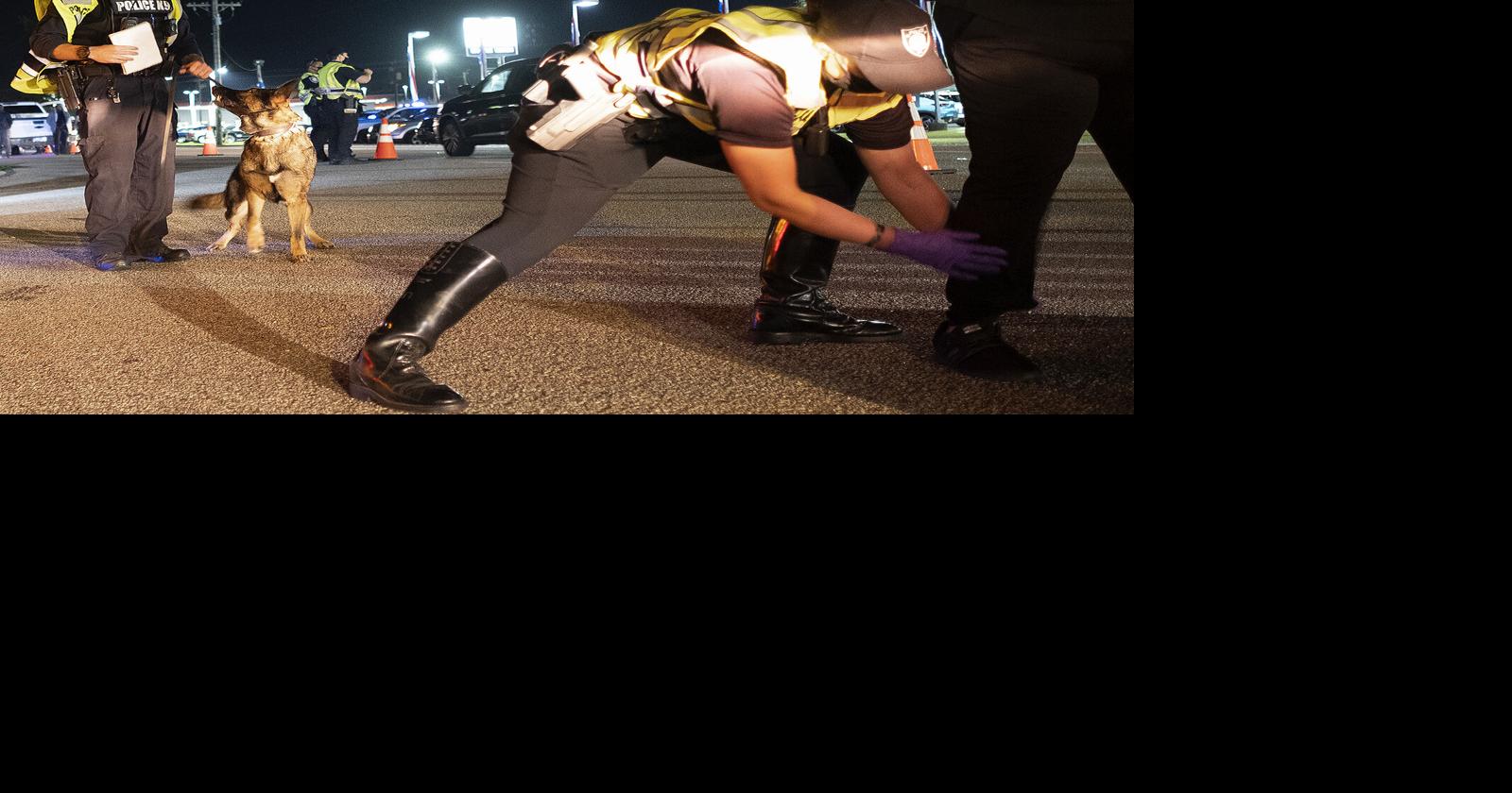 Checkpoints are back | Gallery | myhorrynews.com