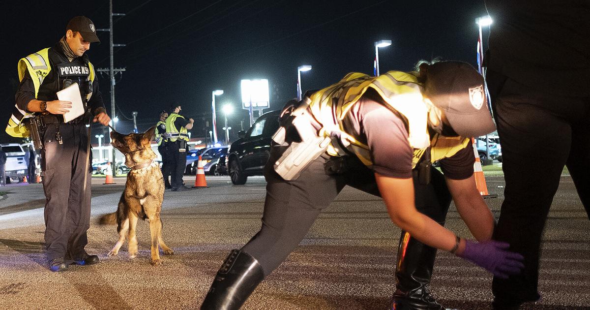 Dog Riding Checkpoint Checkpoints are back | Gallery | myhorrynews.com
