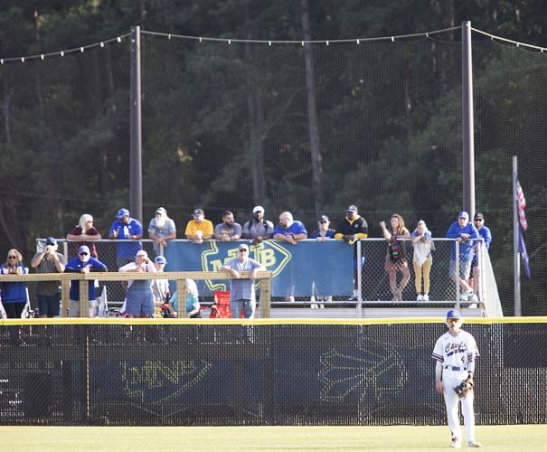 Baseball Splits With CSI in Myrtle Beach; 4-0, 8-6 - Adelphi University  Athletics