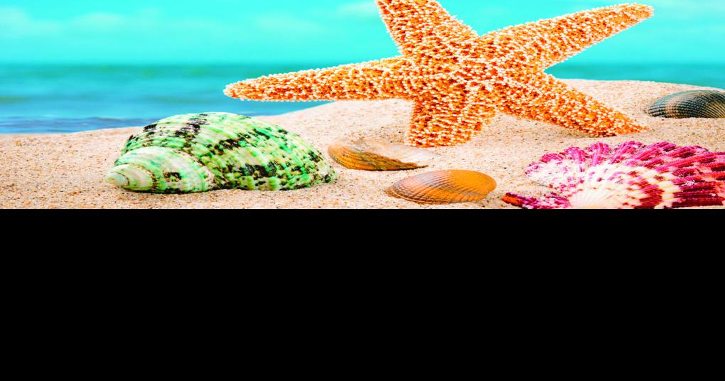 Waccamaw Youth Center plans Starfish Ball to raise money for abused and